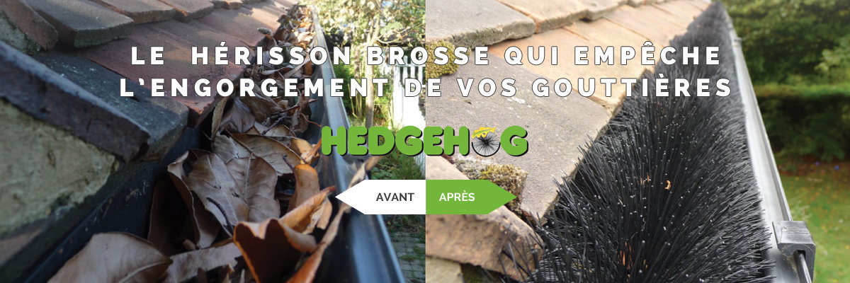 Heribro : protège gouttière hérisson brosse d'Hedgehog